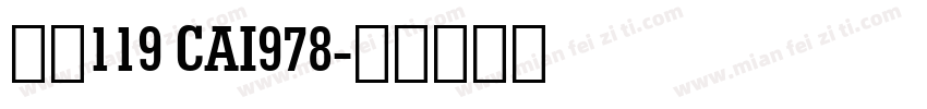 字体119 CAI978字体转换